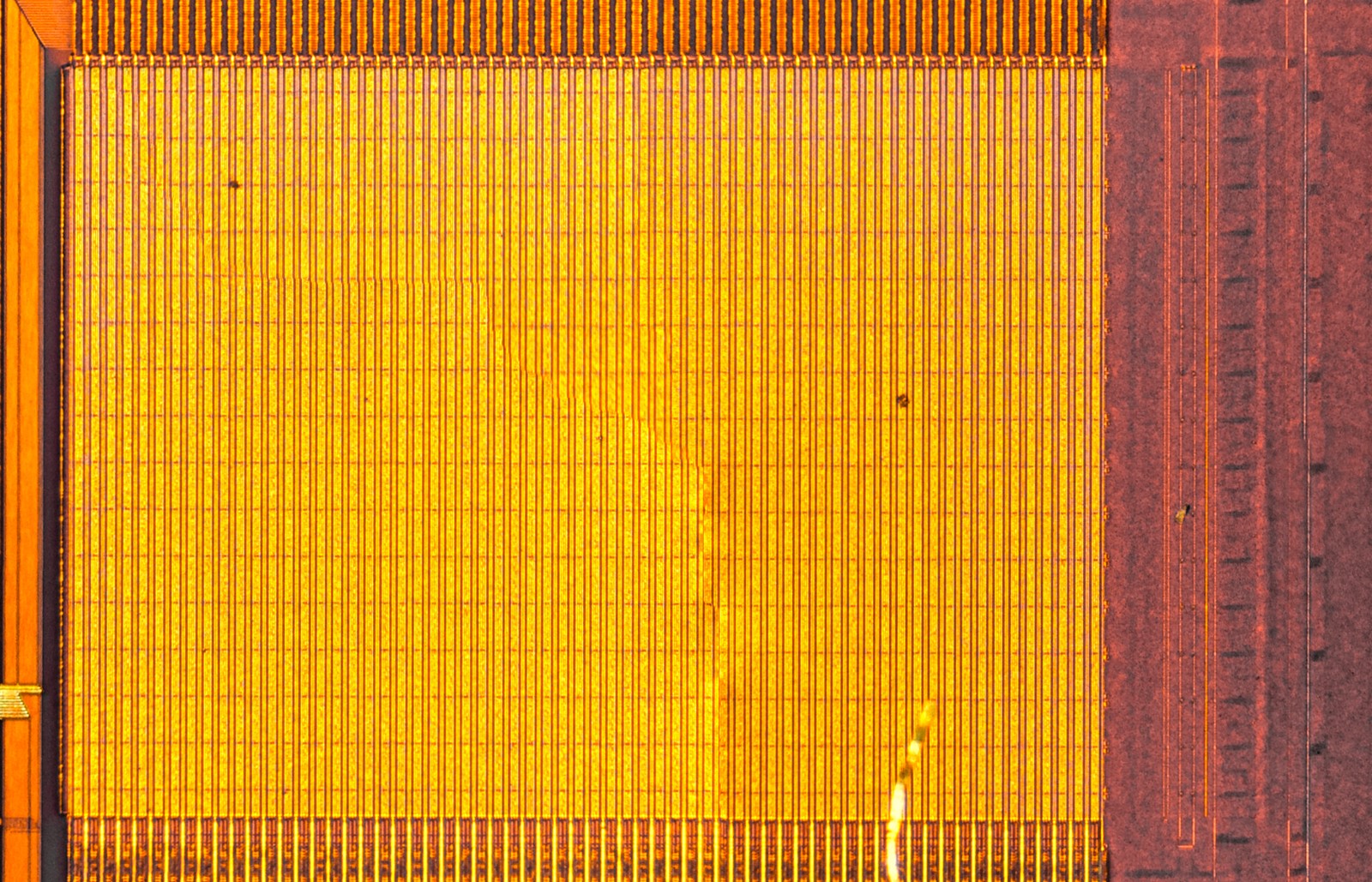 Intel 486 Die